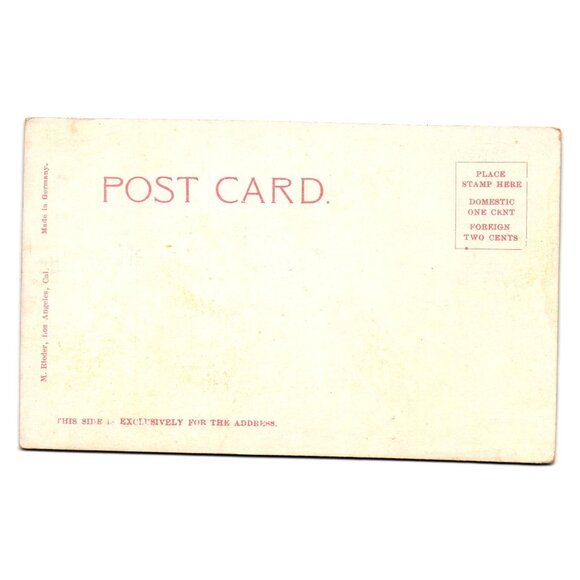 Vintage Postcard Where Oak Trees Grow In California Made In Germany M Rieder Art - Picture 2 of 2